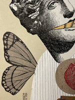 Transizione - Love