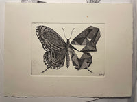 Natura 2.0 (Digitale vs Analogico)