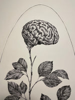 Knowledge (Awareness)