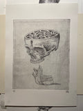 Modern Anatomy 2