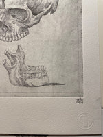 Modern Anatomy 2