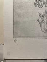 Modern Anatomy 2