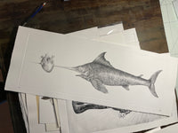 Swordfish in Love