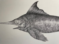 Swordfish in Love