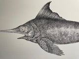 Swordfish in Love