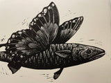 Il Sogno di volare