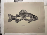 Sel-fish