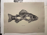 Sel-fish