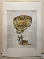 Modern Anatomy