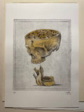 Modern Anatomy