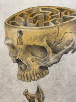 Modern Anatomy