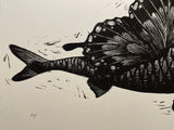 Il Sogno di volare