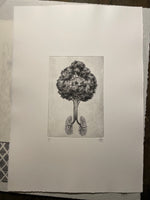Eulogy  a/p