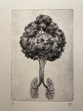 Eulogy  a/p