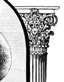 La Morte della Bellezza (The death of the Beauty)